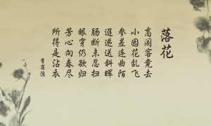 世界十大自然遺產，伊瓜蘇大瀑布居第一位
