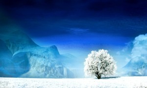 三元奶粉怎么樣？——深度解析與用戶反饋