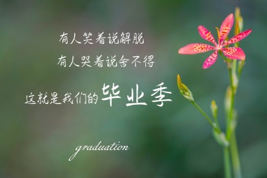 《一腳定江山》一腳定江山分集劇情介紹_電視劇一腳定江山演員表(1-30集大結局)