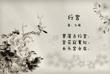 中國排名前十的科技公司：大疆上榜，華為第一名