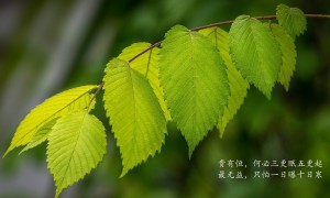 HATHAYOGA.哈他品牌_哈他牌子口碑_HATHAYOGA實力檔次排名