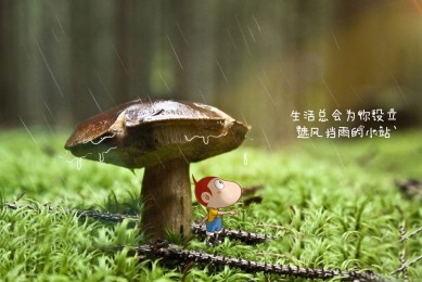 開門機有哪些牌子？十大開門機品牌推薦