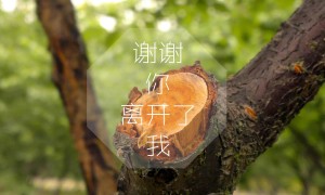 漏斗十大品牌榜-2025漏斗品牌排行榜