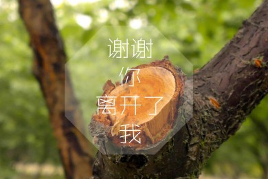 達日縣消防救援大隊供熱供暖服務外包項目競爭性磋商公告