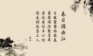 2025-2030年中國折疊膜墨盒行業市場深度研究及發展前景投資可行性分析報告