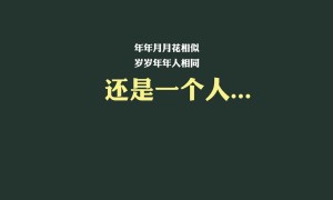武夷巖茶是泡還是煮 武夷巖茶的正確沖泡方法