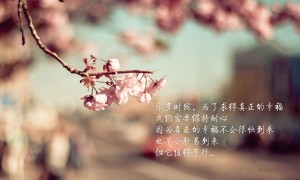 棒球外套十大品牌榜-2025棒球外套品牌排行榜
