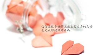 8cm白色低幫鞋品牌排行榜-女士單鞋哪家品牌好