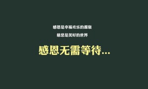 HONGGU.宏谷品牌_宏谷牌子口碑_HONGGU實力檔次排名