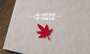 2025-2030年中國拖掛式燈泡導(dǎo)向器行業(yè)發(fā)展趨勢及競爭策略研究報(bào)告