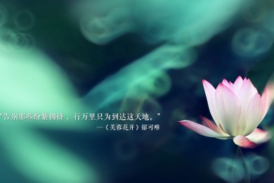 棉被被芯十大品牌榜-2025棉被被芯品牌排行榜